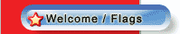 Welcome Flags